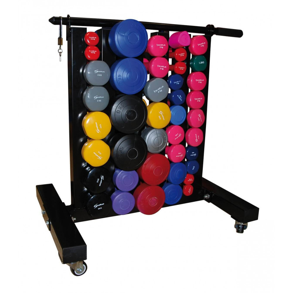 Rack de Rangement pour Poids et Haltères 50mm - aubaine Shop
